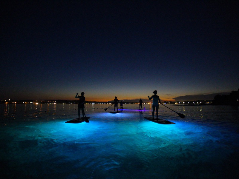 Standup Paddling by night in Croatia (SUP Glow Night tour) - Metta Float